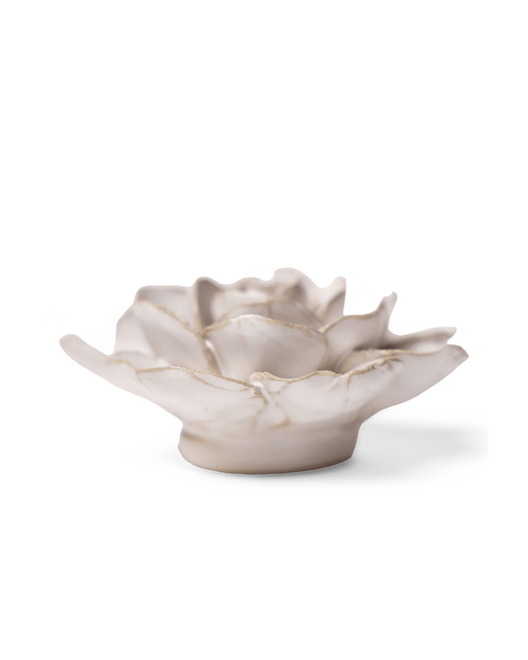 Ivory Amandine Ranunculus - Chive UK