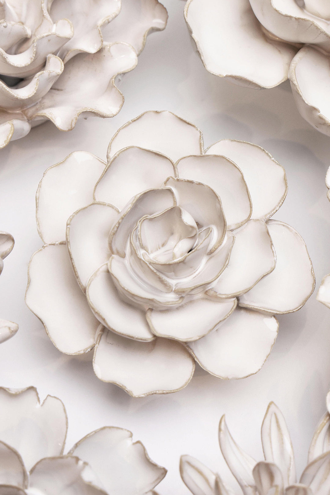 Ivory Ranunculus - Chive UK