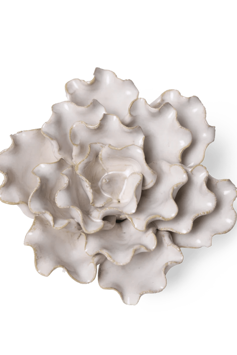 Coastal Ceramic Flower Ivory Sea Lettuce Medium - Chive UK