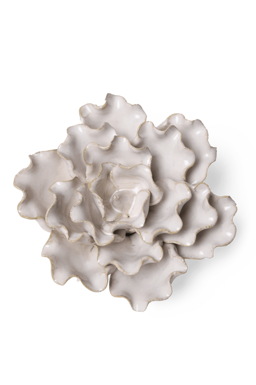 Ivory Sea Lettuce Medium - Chive UK