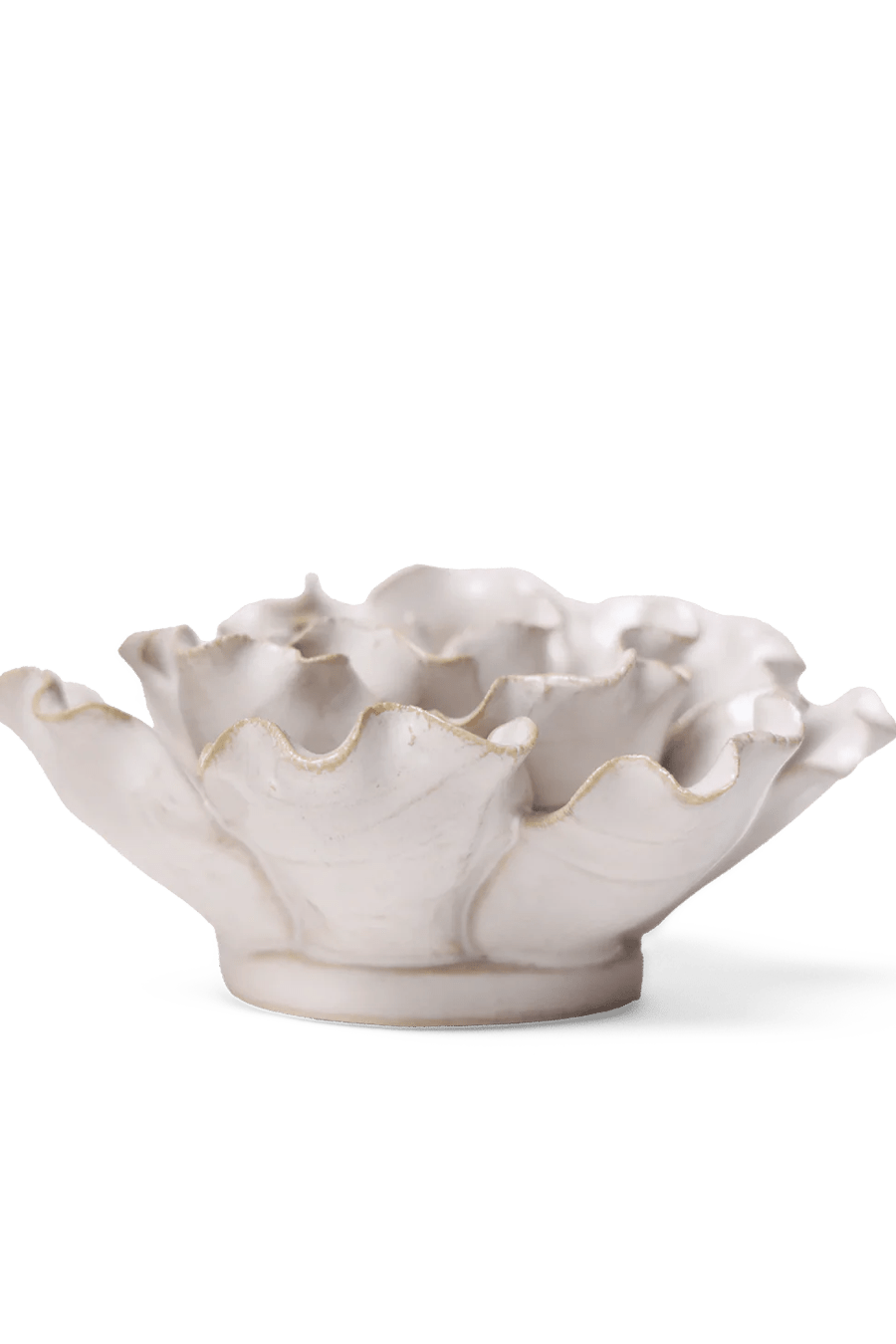 Coastal Ceramic Flower Ivory Sea Lettuce Medium - Chive UK