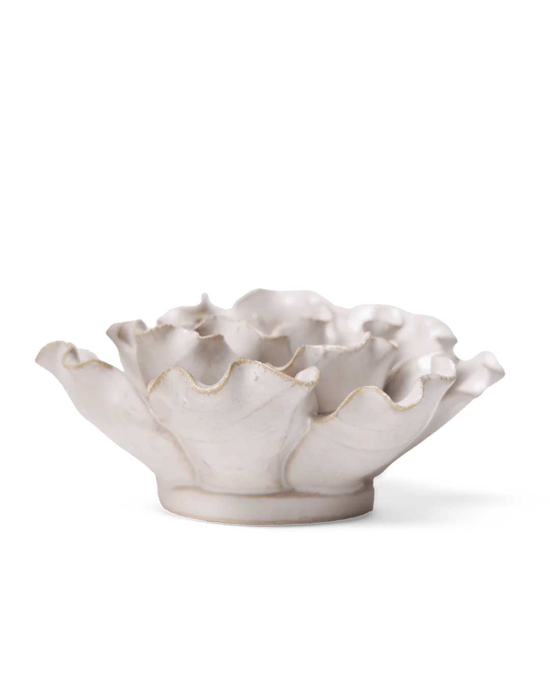 Coastal Ceramic Flower Ivory Sea Lettuce Medium - Chive UK