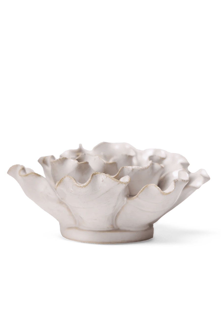 Ivory Sea Lettuce Medium - Chive UK