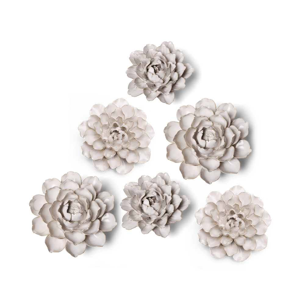 Coastal Curated Collection 8 - Chive UK