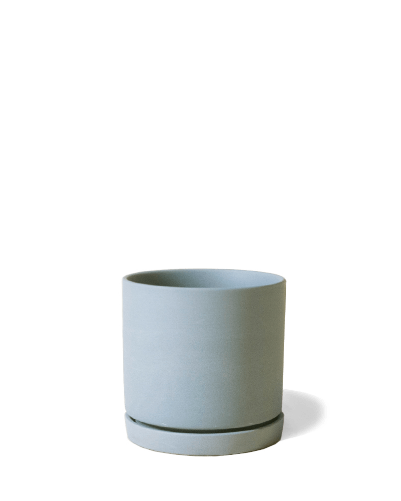 Dojo Porcelain Modern Indoor Plant Pot With Saucer - Chive UK