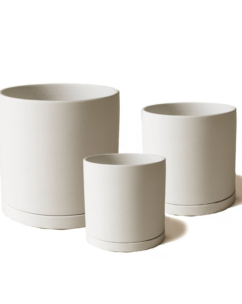 Dojo Porcelain Modern Indoor Plant Pot With Saucer - Chive UK
