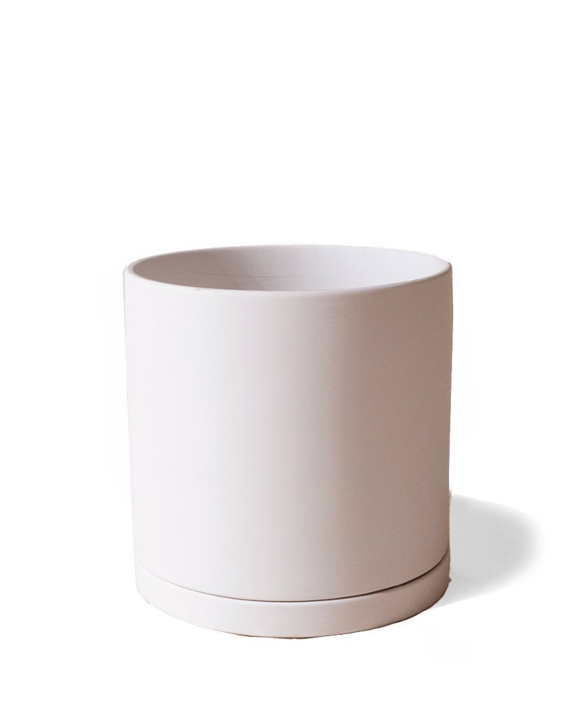 Dojo Porcelain Modern Indoor Plant Pot With Saucer - Chive UK