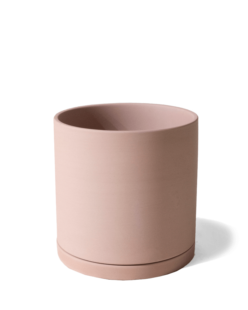 Dojo Porcelain Modern Indoor Plant Pot With Saucer - Chive UK