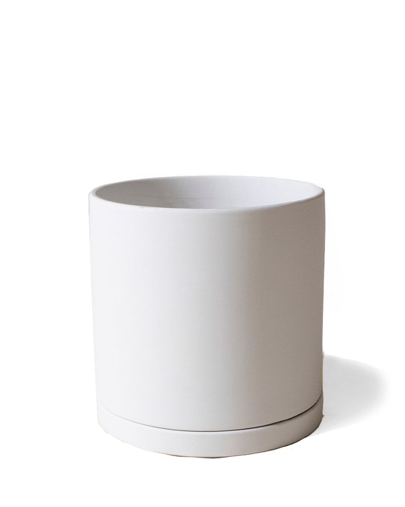 Dojo Porcelain Modern Indoor Plant Pot With Saucer - Chive UK