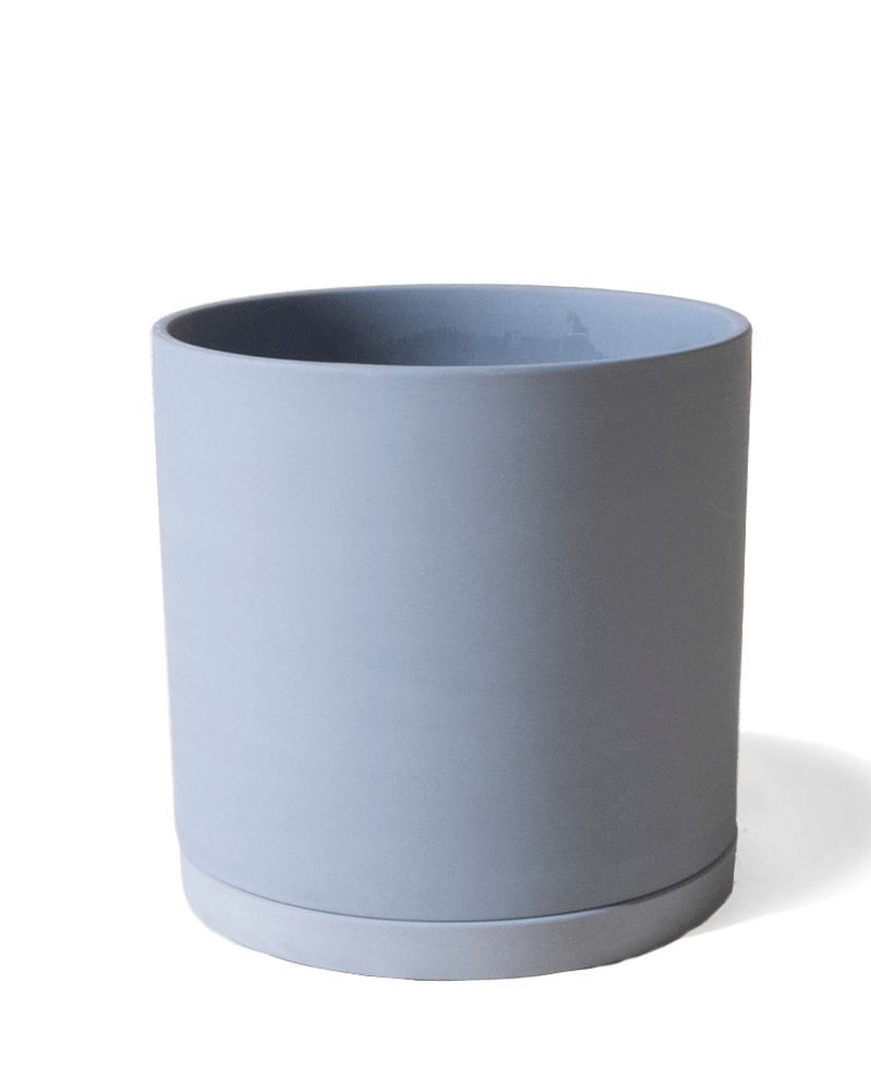 Dojo Porcelain Modern Indoor Plant Pot With Saucer - Chive UK