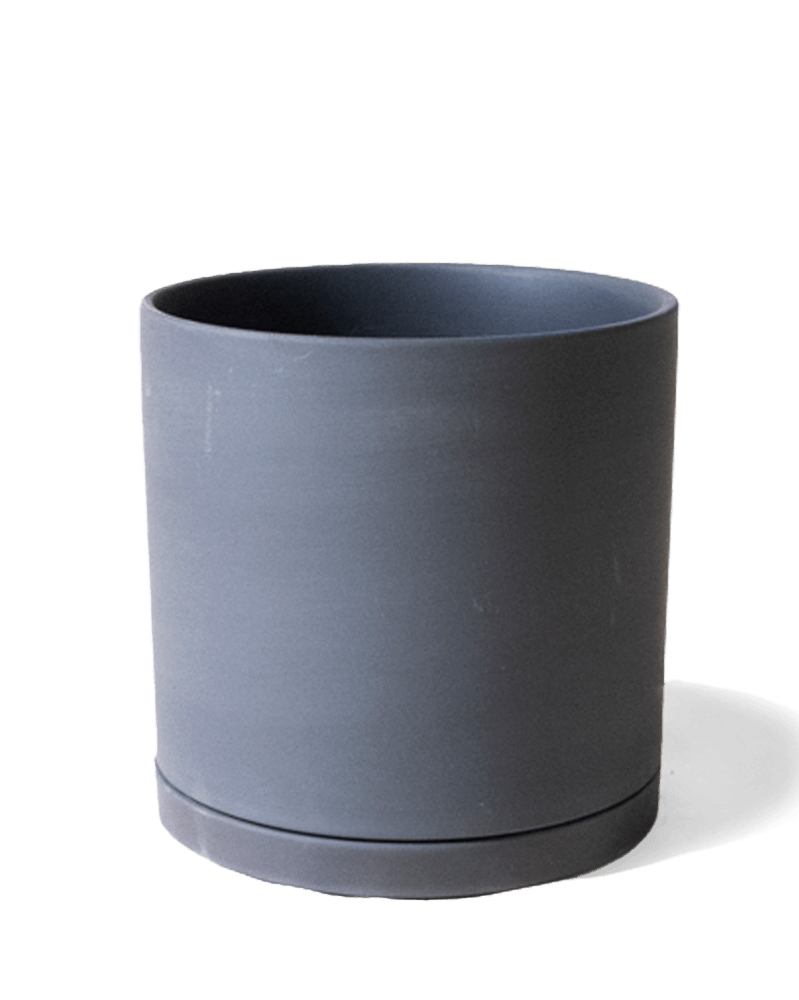 Dojo Porcelain Modern Indoor Plant Pot With Saucer - Chive UK