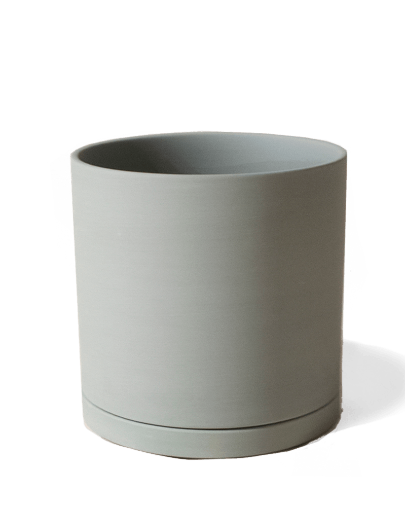 Dojo Porcelain Modern Indoor Plant Pot With Saucer - Chive UK
