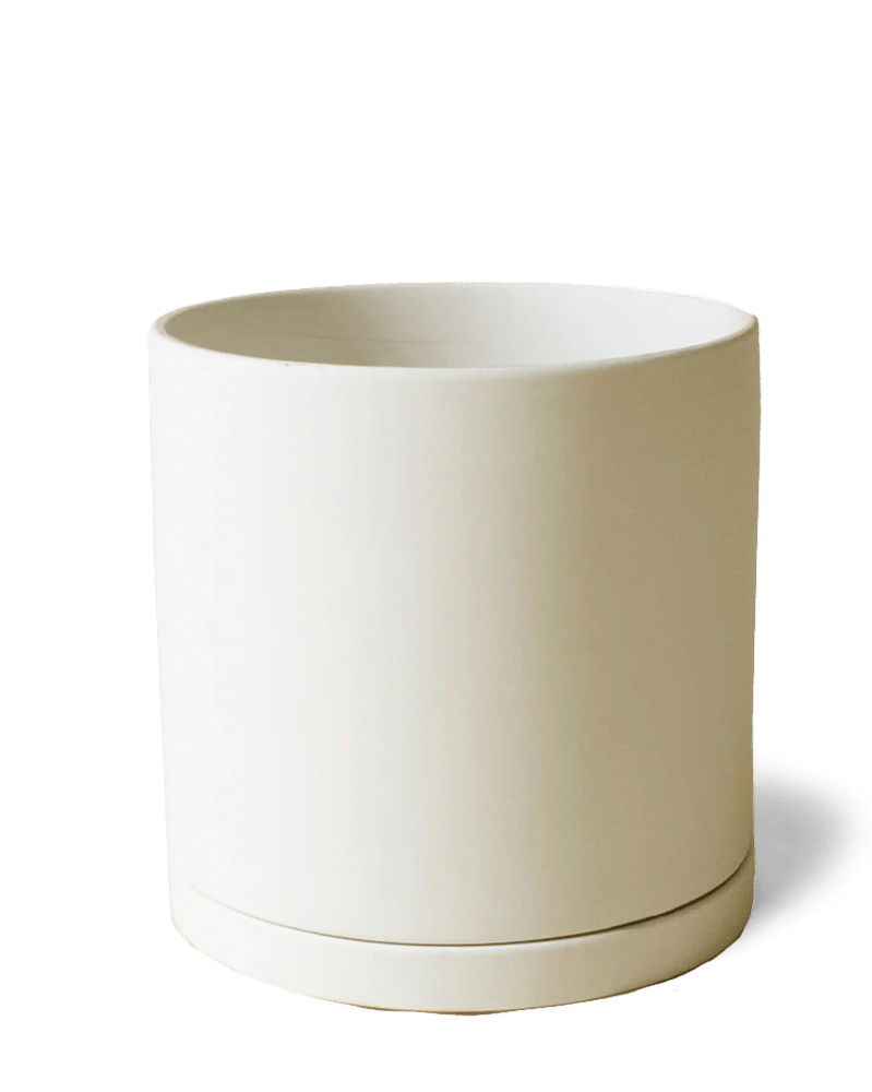 Dojo Porcelain Modern Indoor Plant Pot With Saucer - Chive UK