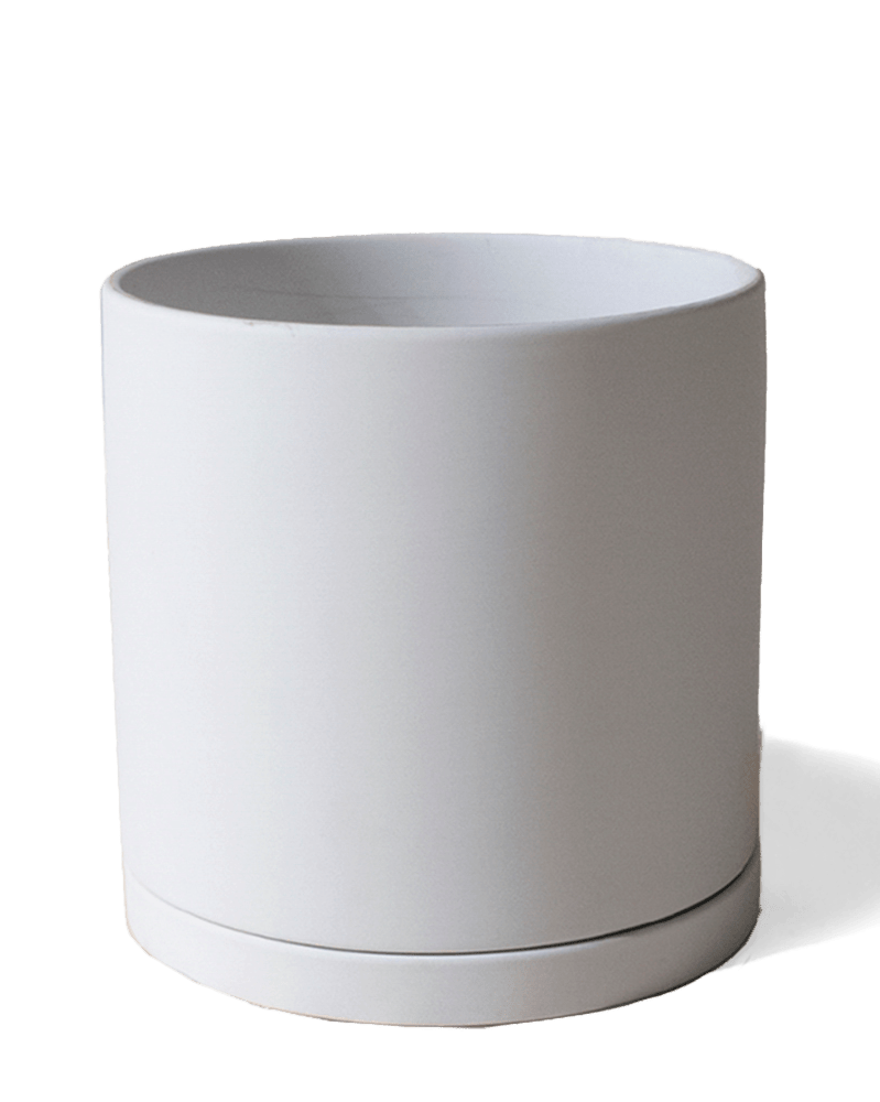 Dojo Porcelain Modern Indoor Plant Pot With Saucer - Chive UK