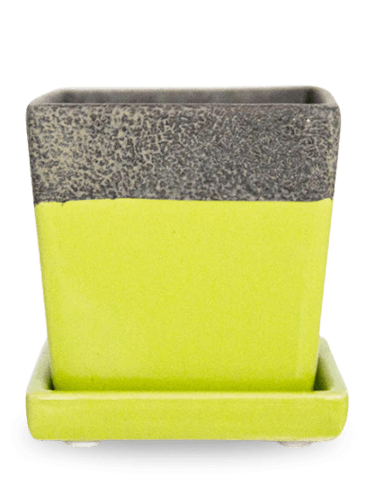 Duo Ceramic Planter With Drainage Hole And Saucer - Chive UK