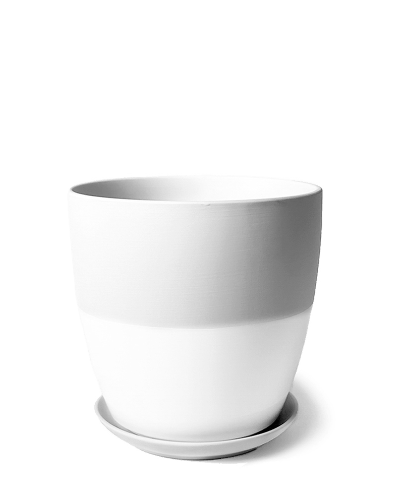 Dyad Porcelain Modern Indoor Plant Pot With Saucer - Chive UK