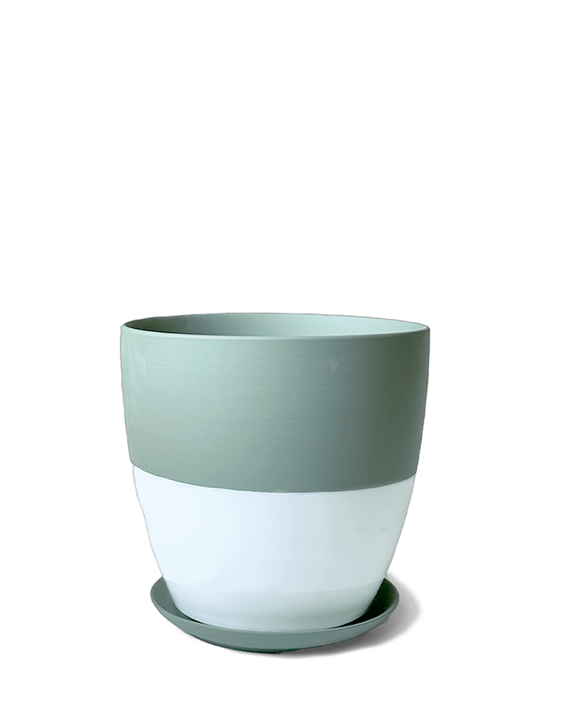 Dyad Porcelain Modern Indoor Plant Pot With Saucer - Chive UK