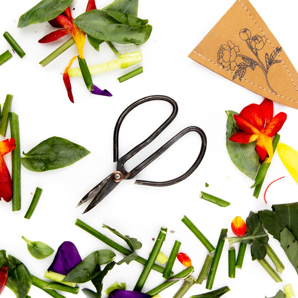 Edward Clippers Ikebana Pruning Scissors - Chive UK
