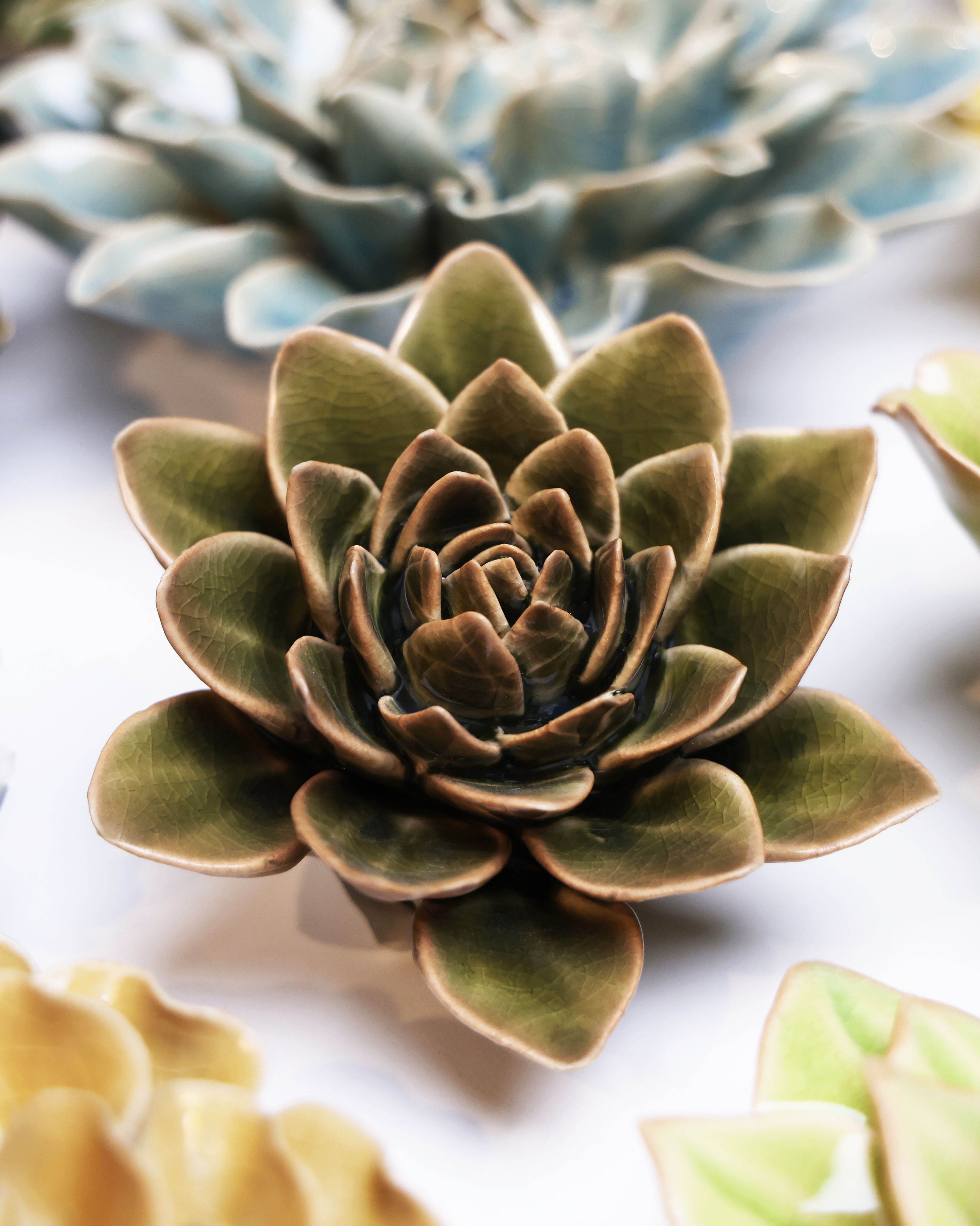English Garden Ceramic Flower Dark Green Echiveria - Chive UK