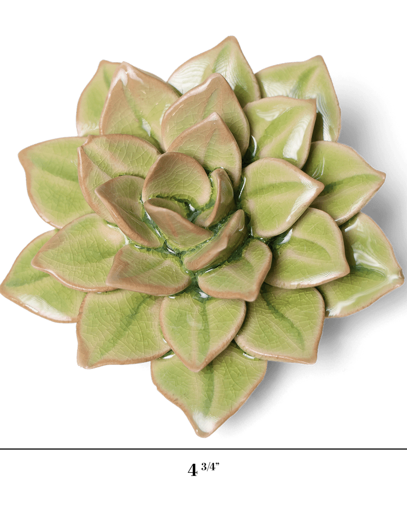 English Garden Ceramic Flower Green Medium Succulent - Chive UK