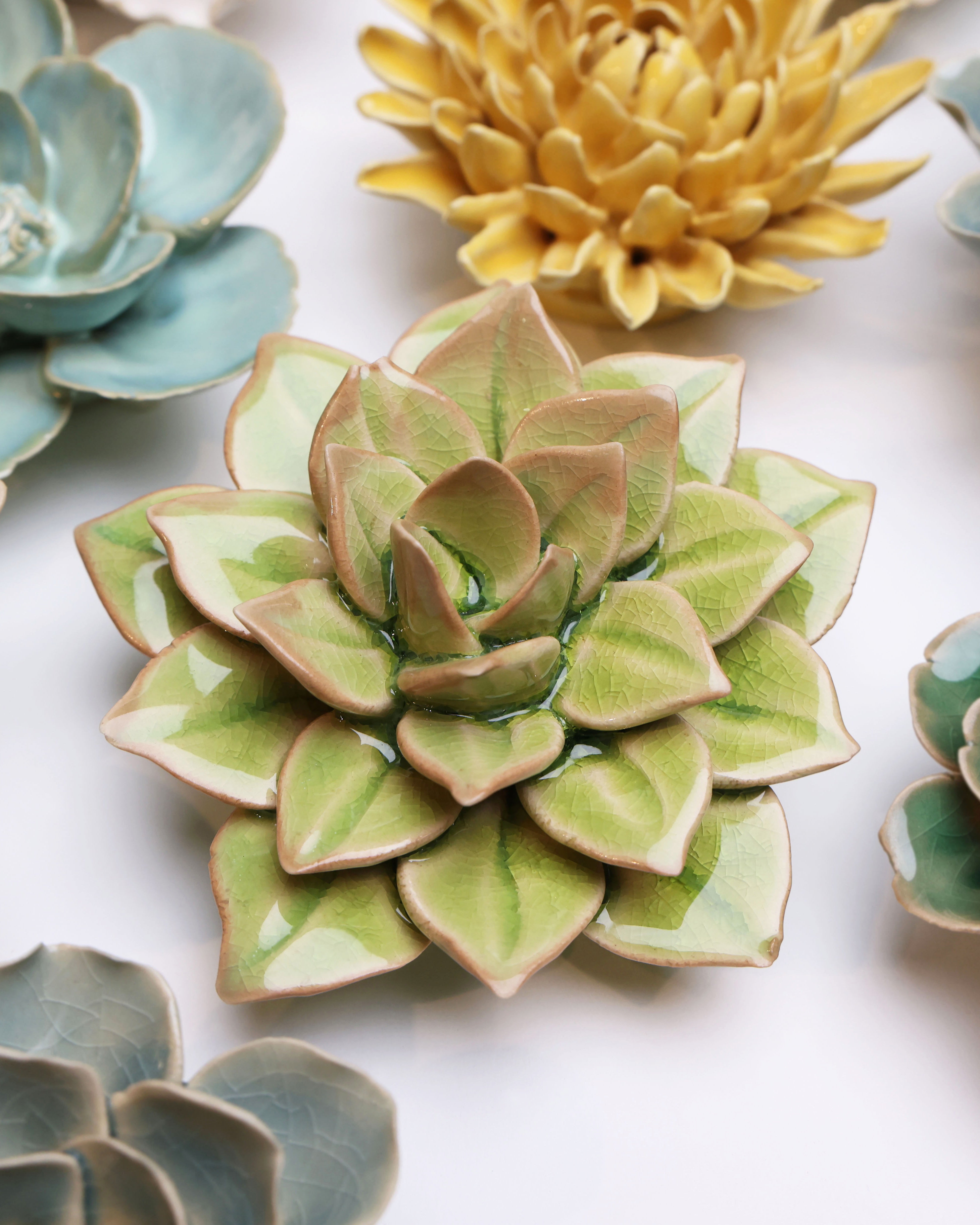 English Garden Ceramic Flower Green Medium Succulent - Chive UK