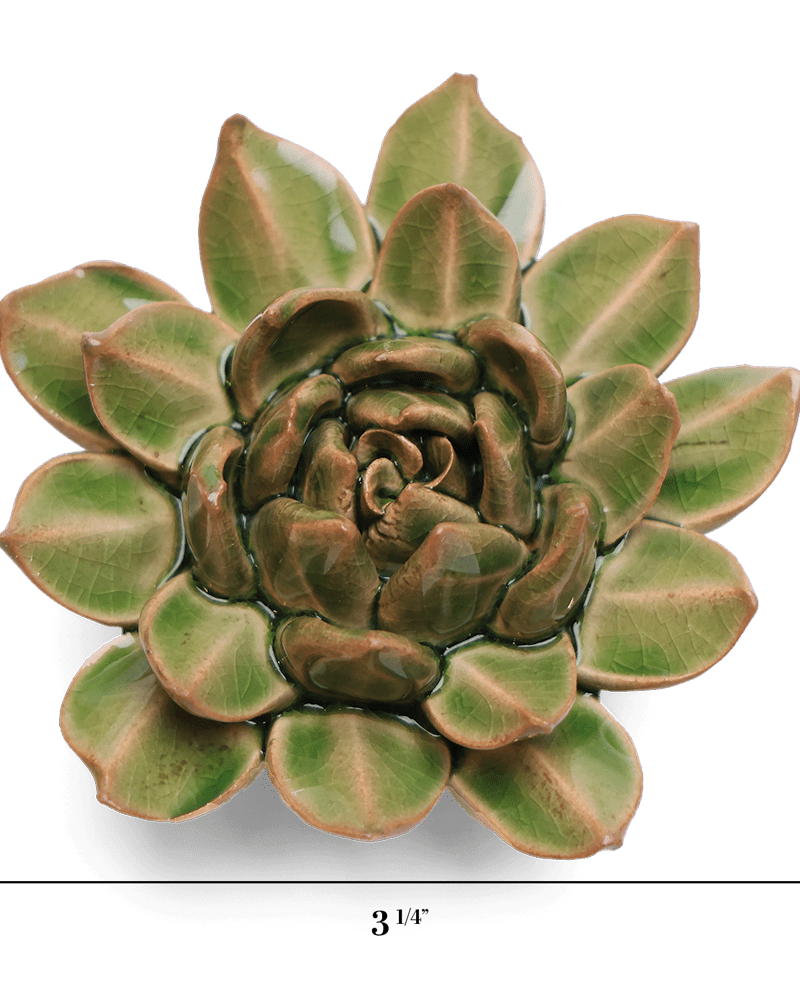 English Garden Ceramic Flower Green Small Succulent - Chive UK