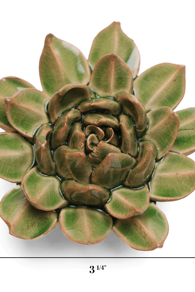 English Garden Ceramic Flower Green Small Succulent - Chive UK