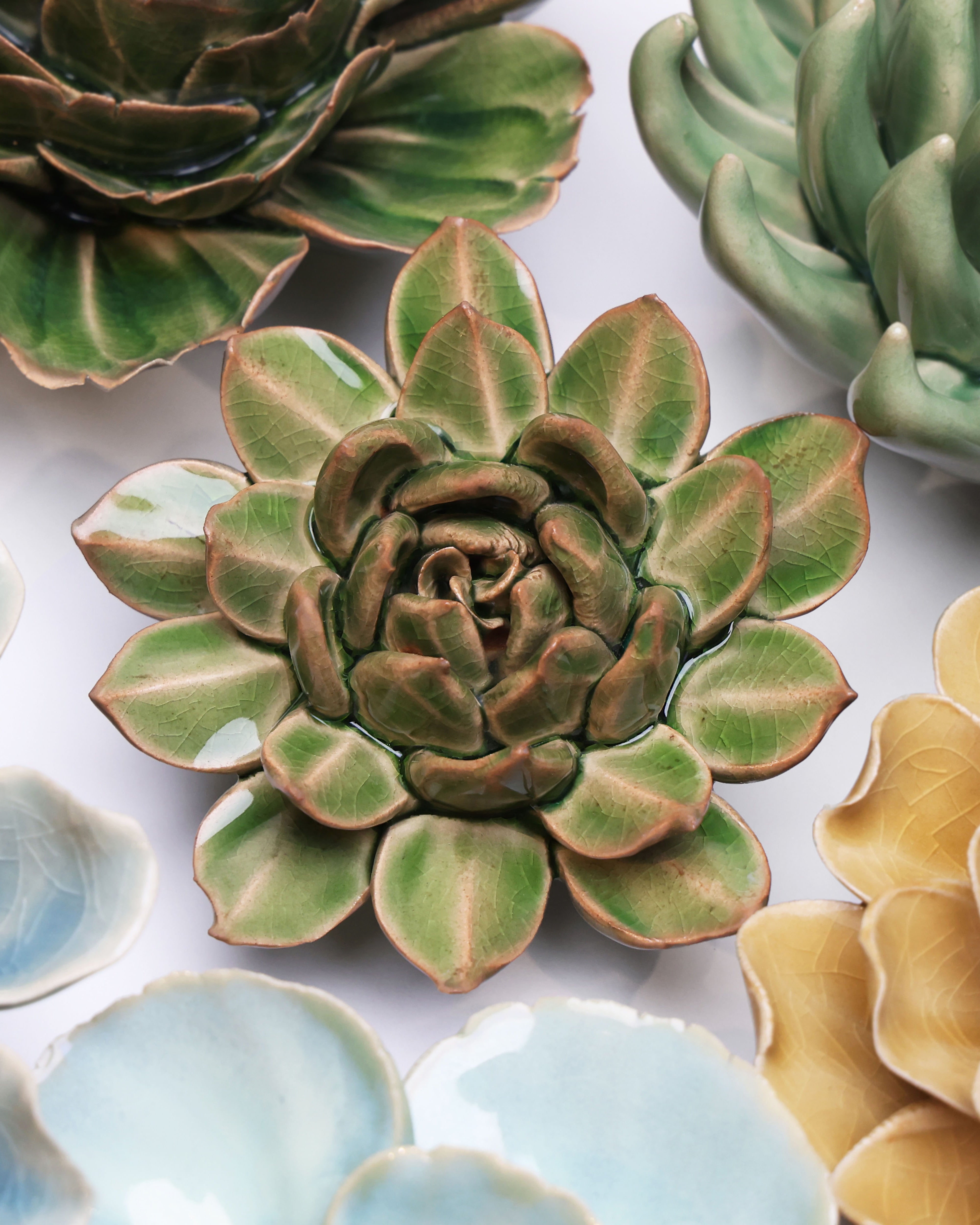 English Garden Ceramic Flower Green Small Succulent - Chive UK