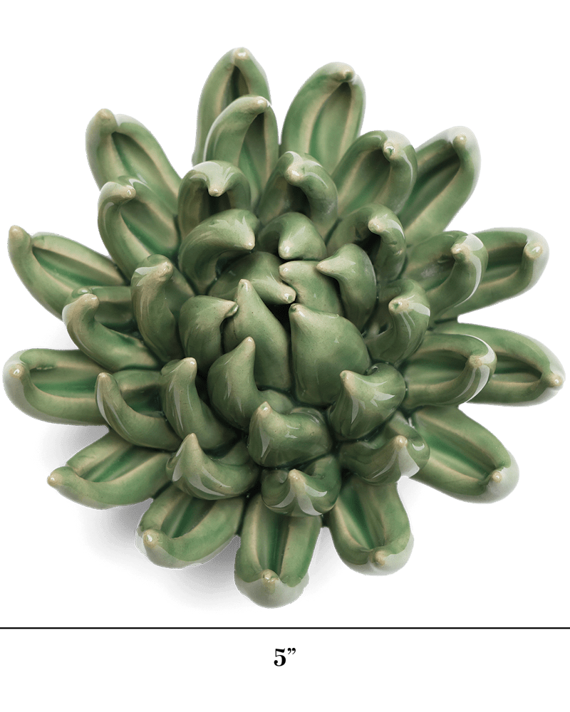 English Garden Ceramic Flower Green Large Succulent - Chive UK