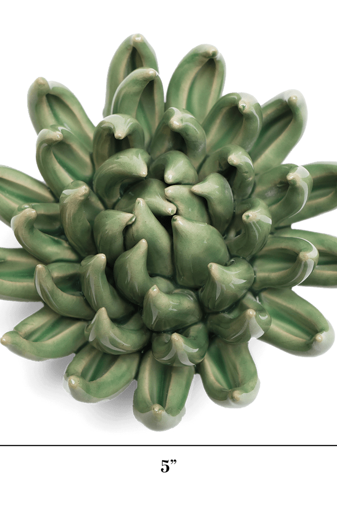 English Garden Ceramic Flower Green Large Succulent - Chive UK