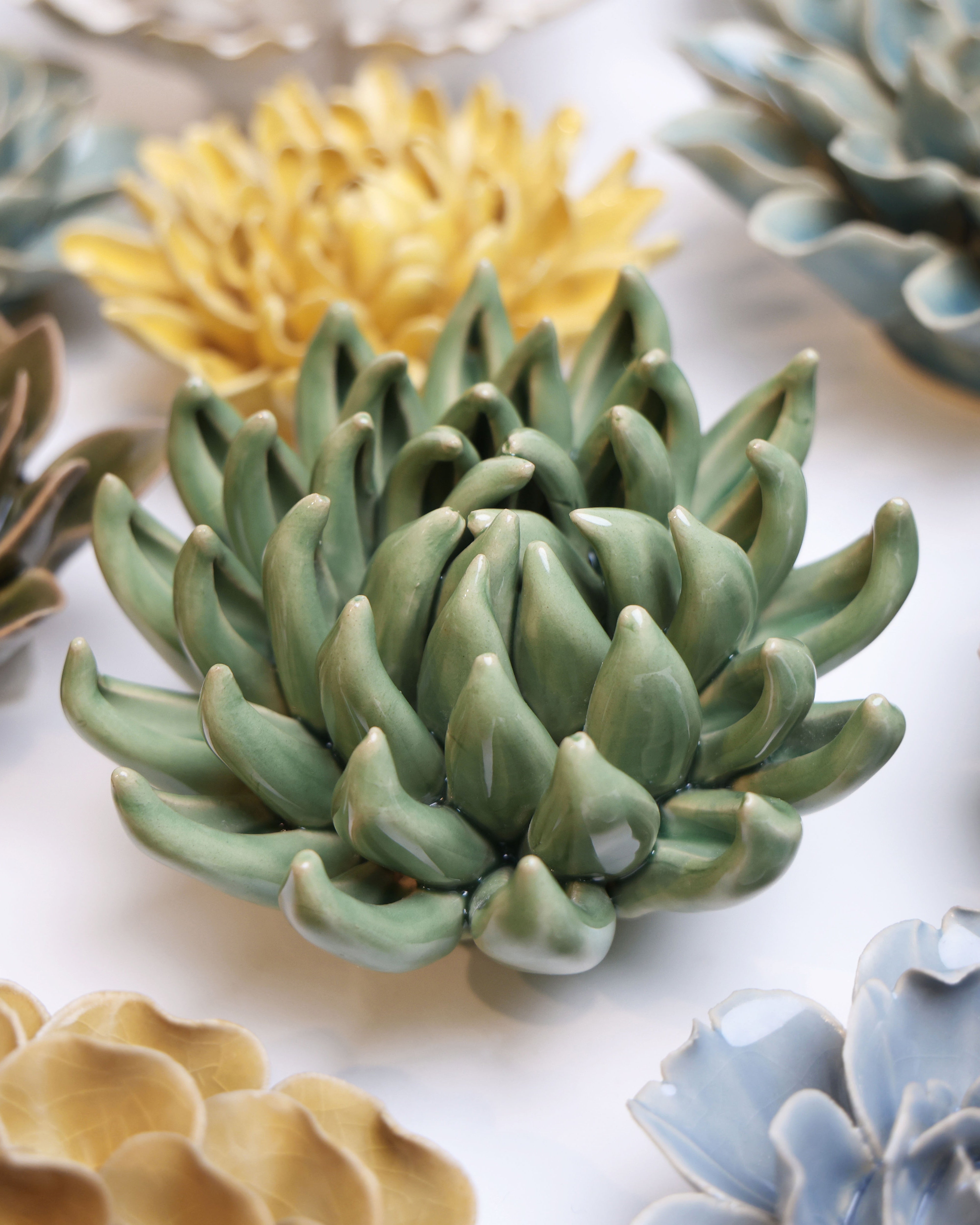 English Garden Ceramic Flower Green Large Succulent - Chive UK