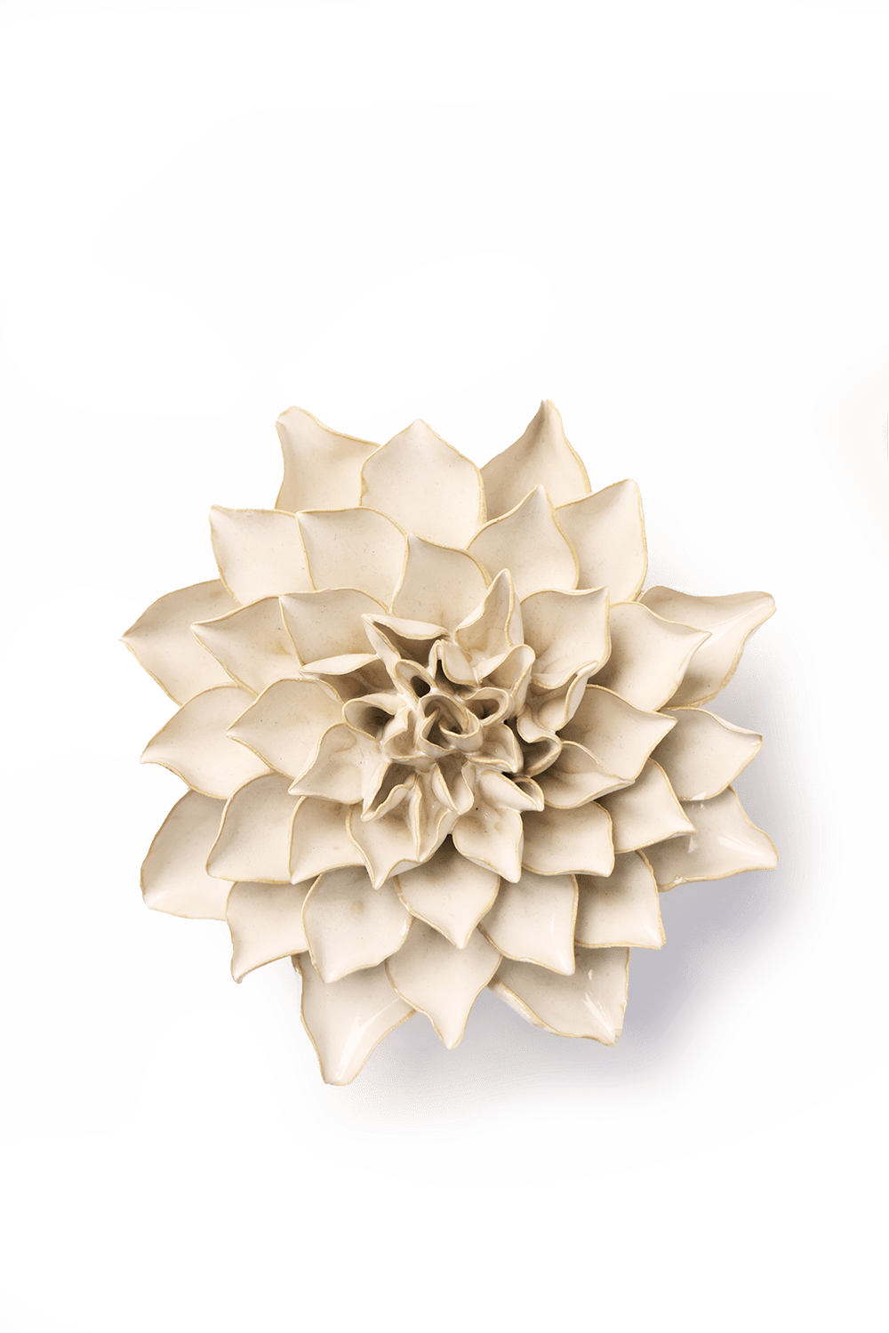 Ivory Autumn Azalea - Chive UK