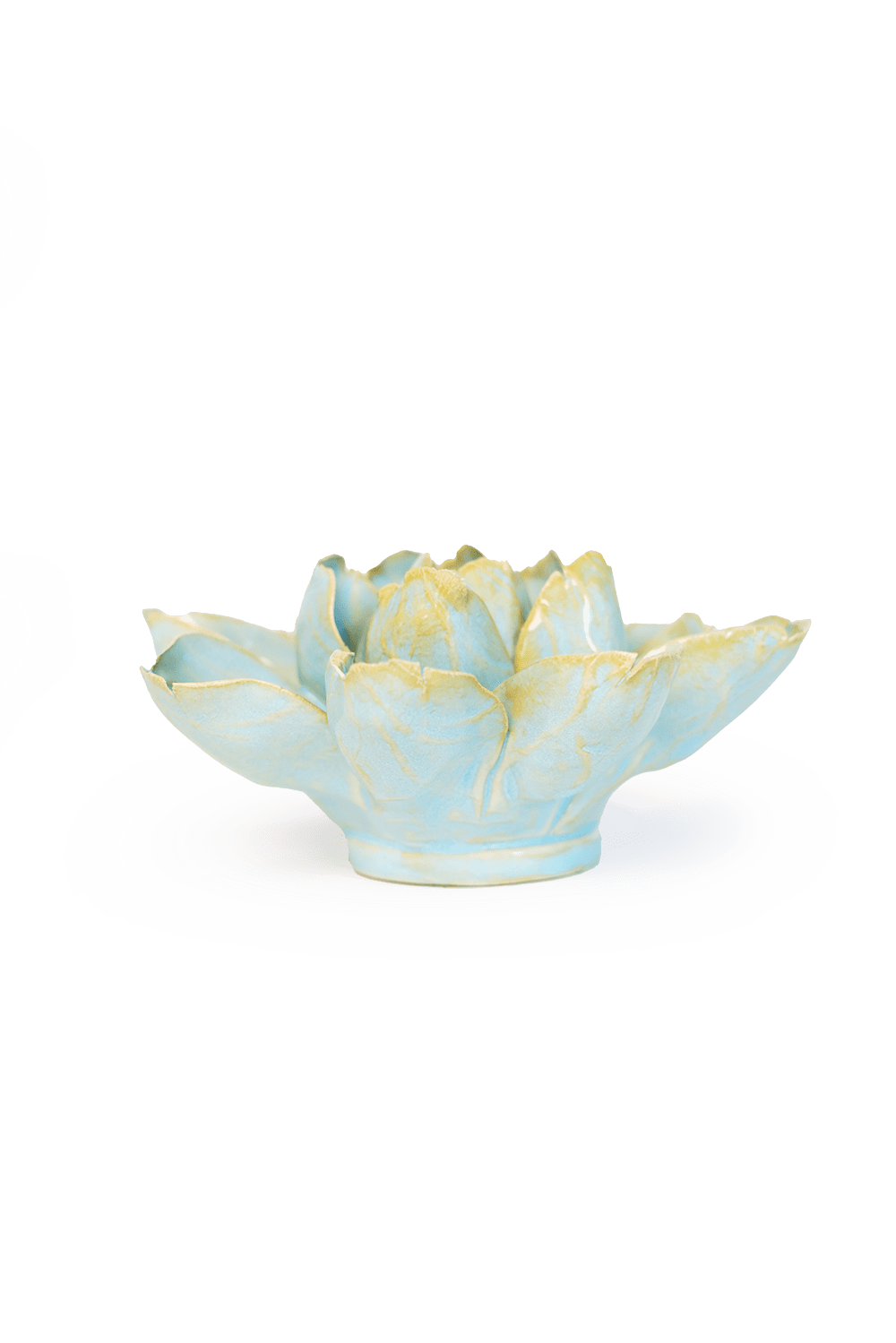 Robin's Egg Blue Aurora Water Lily - Chive UK