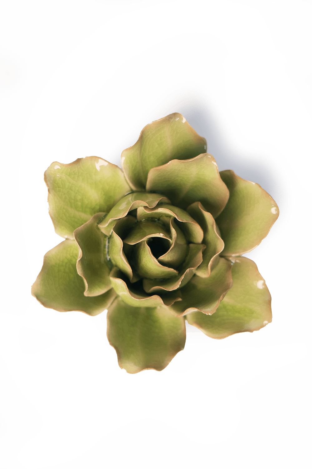 Peridot Stargazer Lily - Chive UK