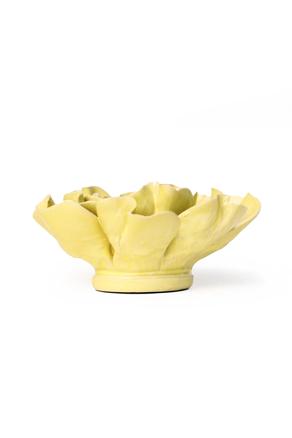 Lime Yellow Larkspur - Chive UK