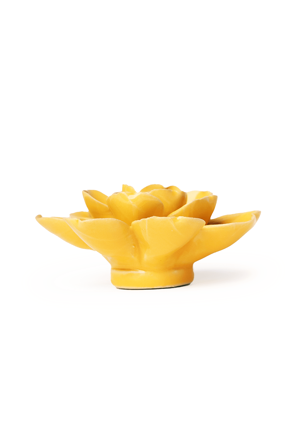 Burnt Yellow Tahitian Gardenia - Chive UK