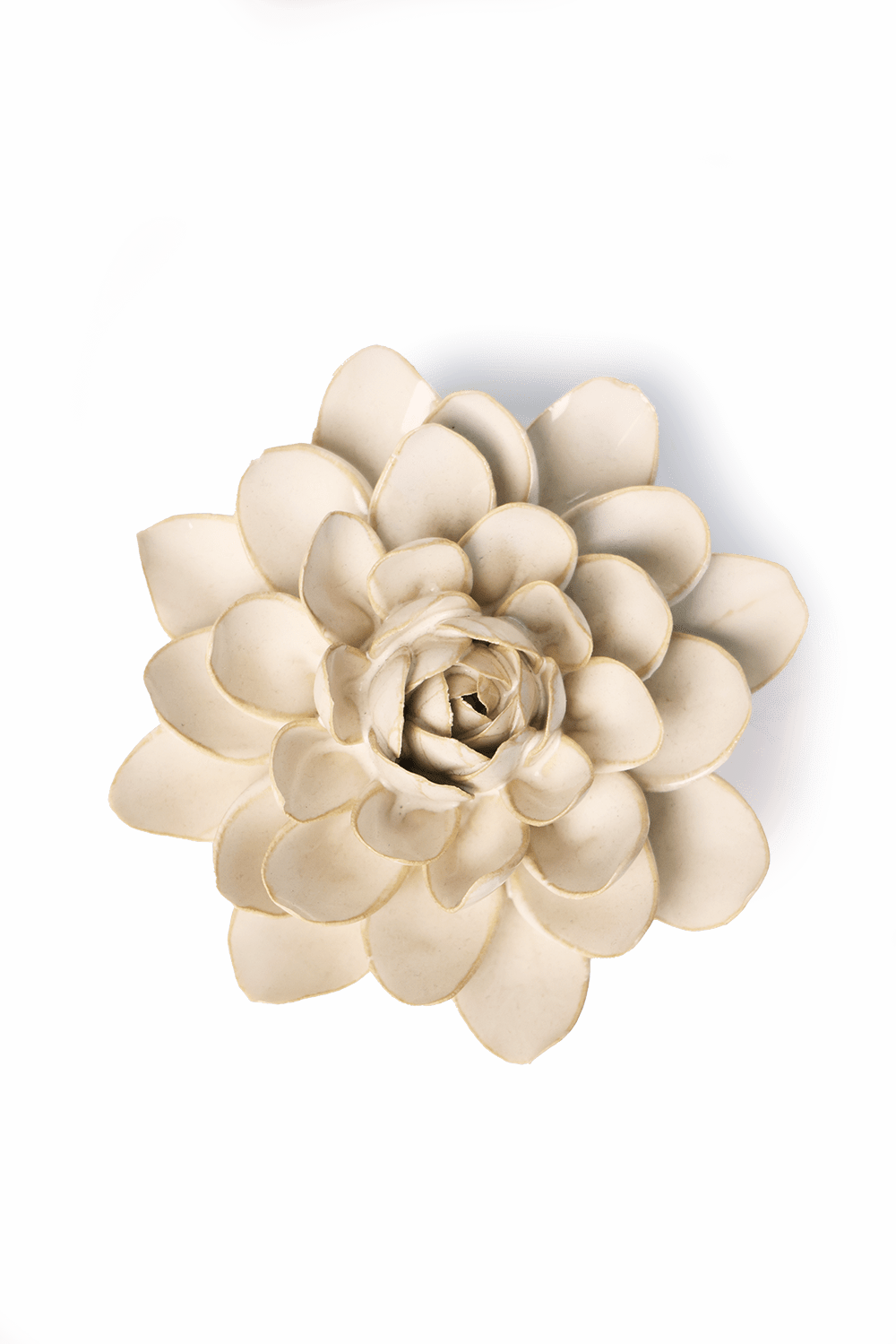 Ivory Snowdrop - Chive UK