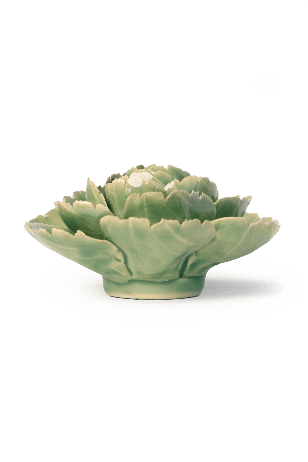 Jade Green English Rose - Chive UK