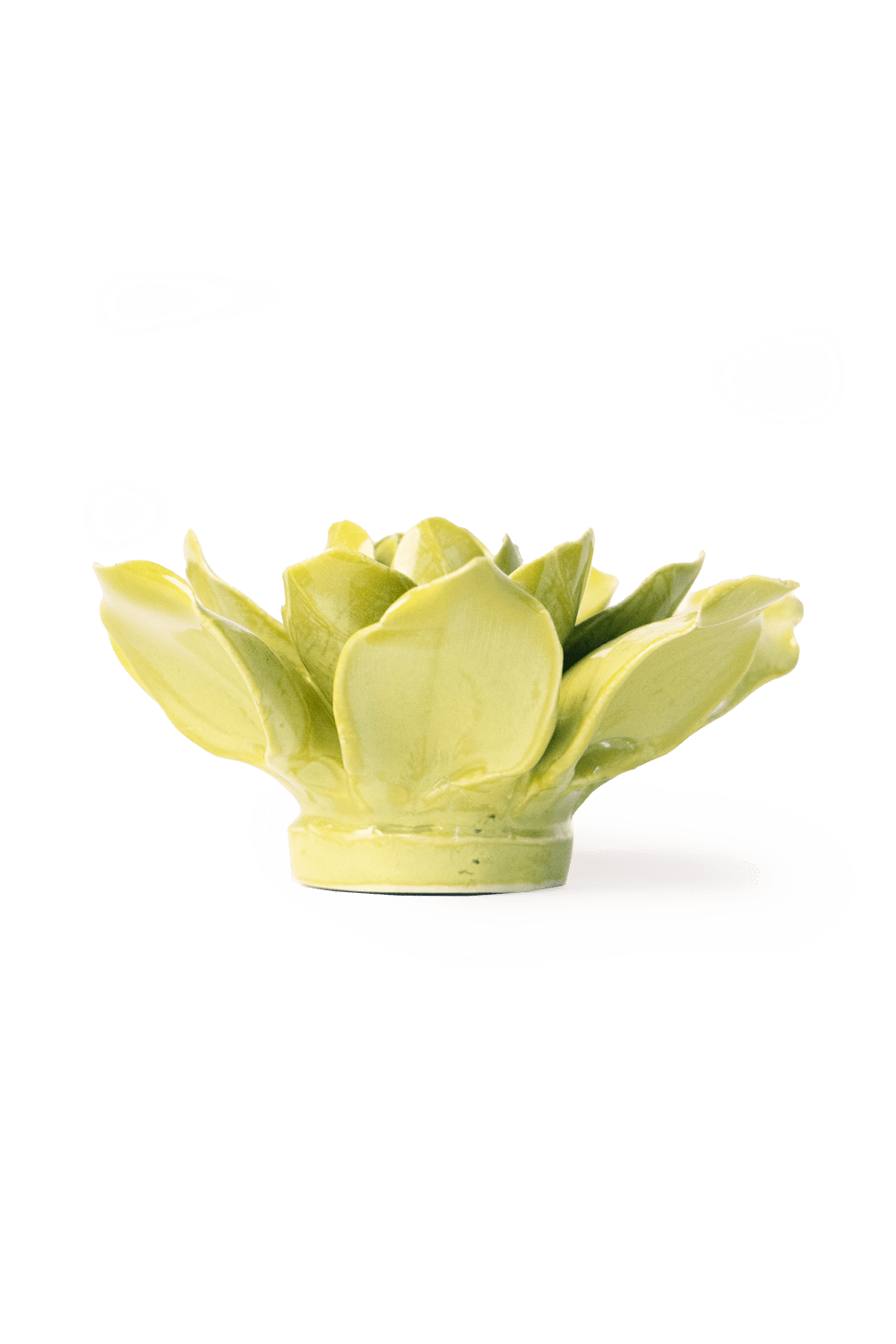 Chartreuse Columbine - Chive UK