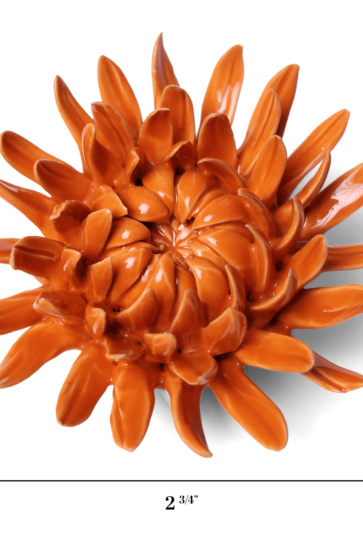 English Garden Orange Sarah Mum - Chive UK