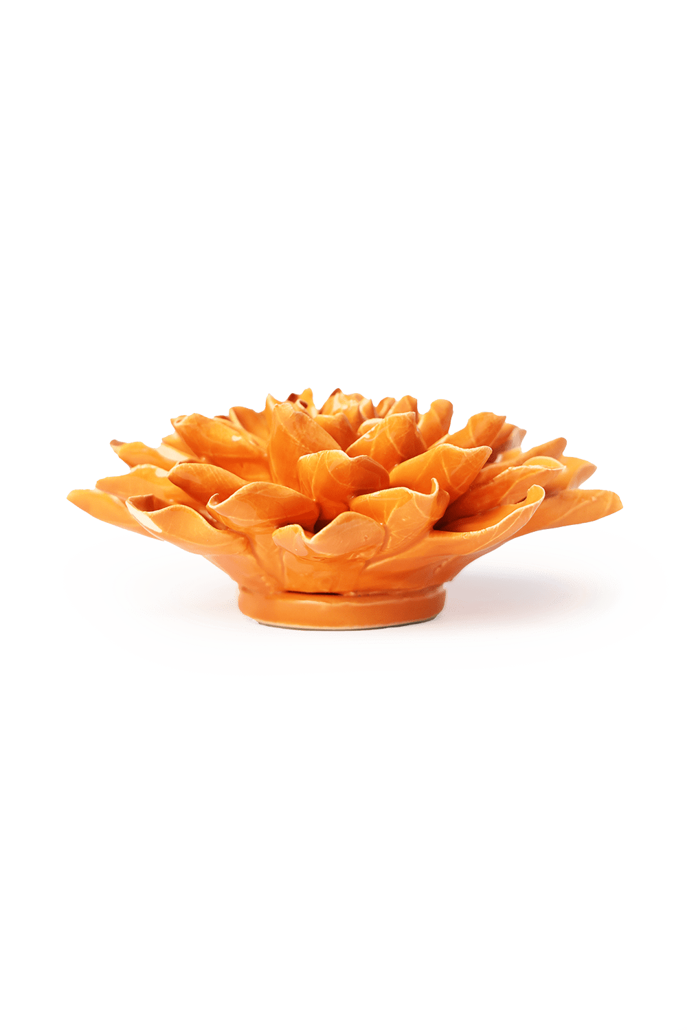 English Garden Orange Autumn Azalea - Chive UK