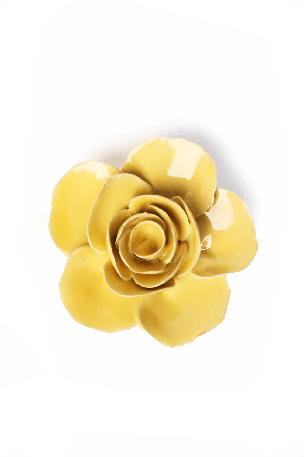 English Garden Buttercup Yellow Elegance Ranunculus - Chive UK