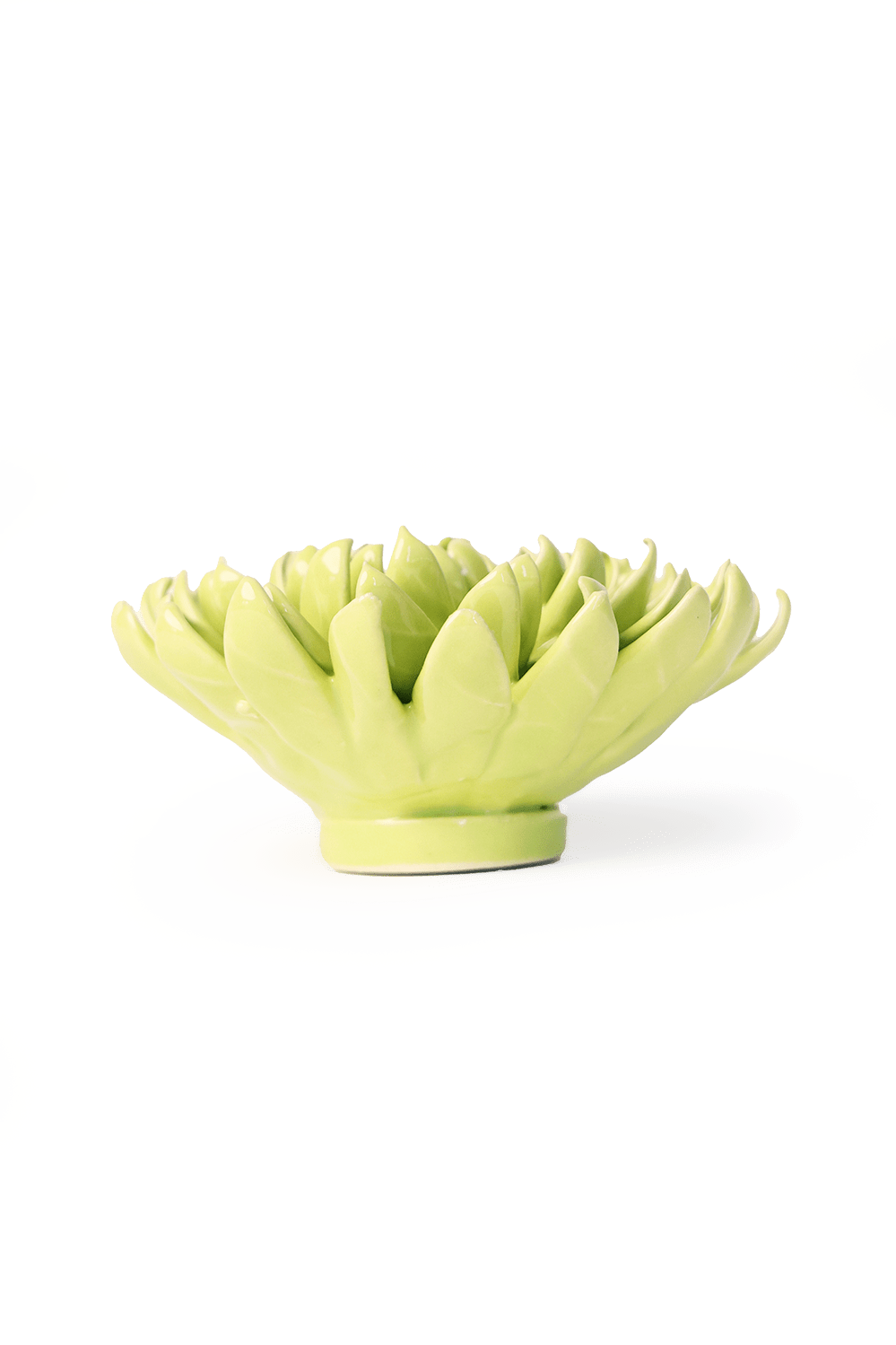 English Garden Yellow Green Pompom Mum - Chive UK