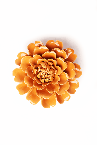 English Garden Orange Fiesta Marigold - Chive UK