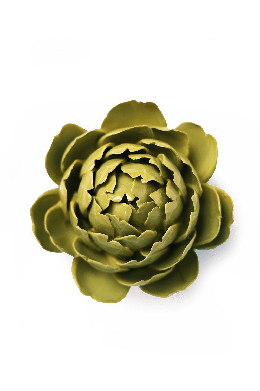 English Garden Chartreuse Queen Protea - Chive UK