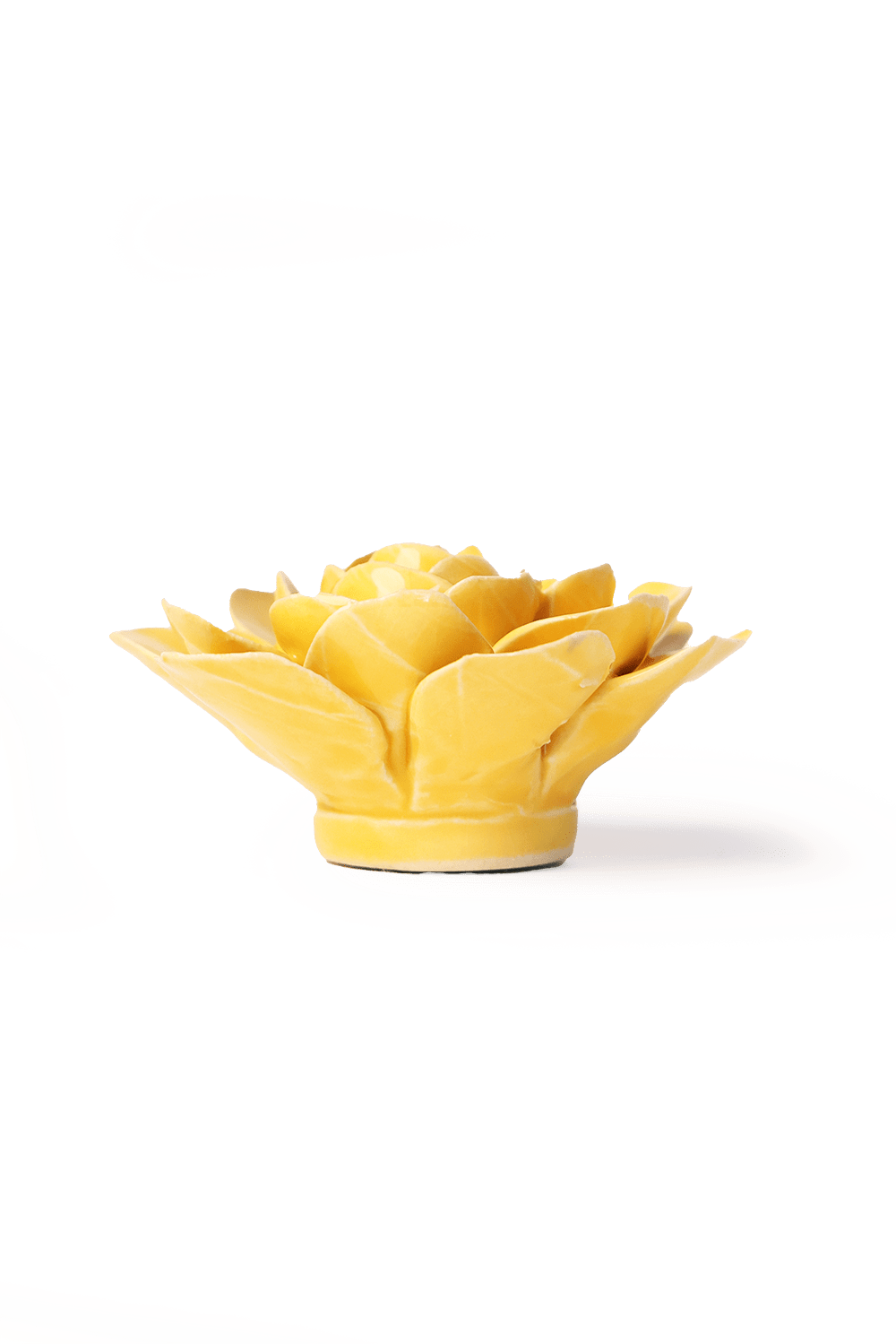 English Garden Burnt Yellow Begonia - Chive UK