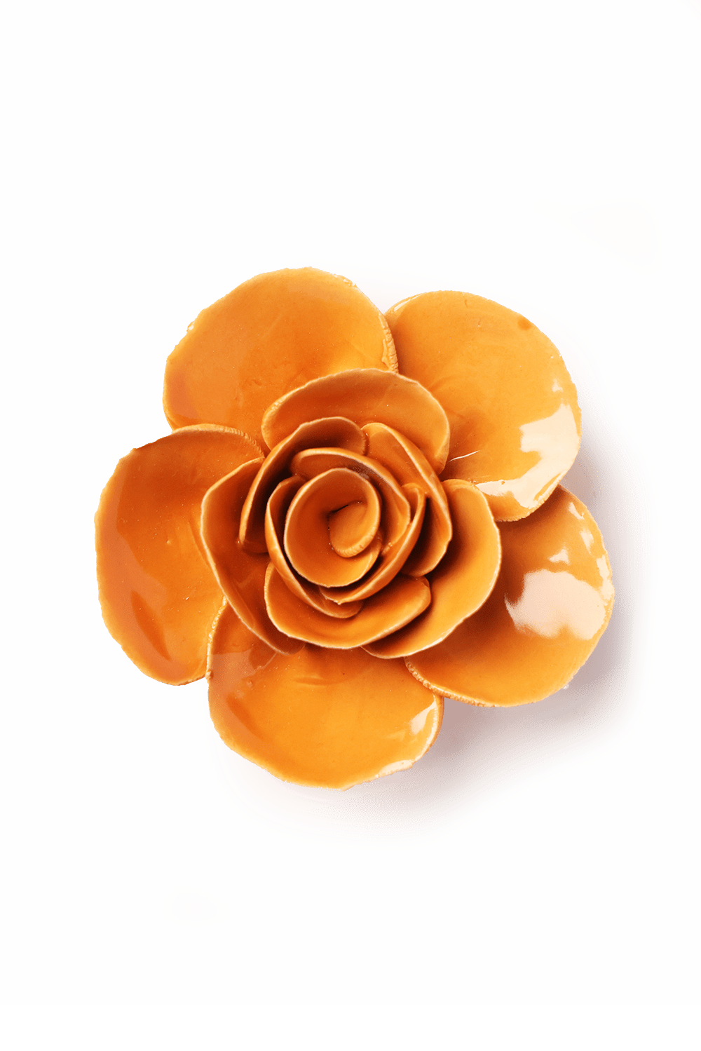 English Garden Orange Elegance Ranunculus - Chive UK