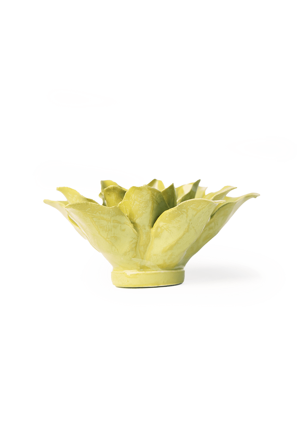 English Garden Chartreuse Tiger Lily - Chive UK