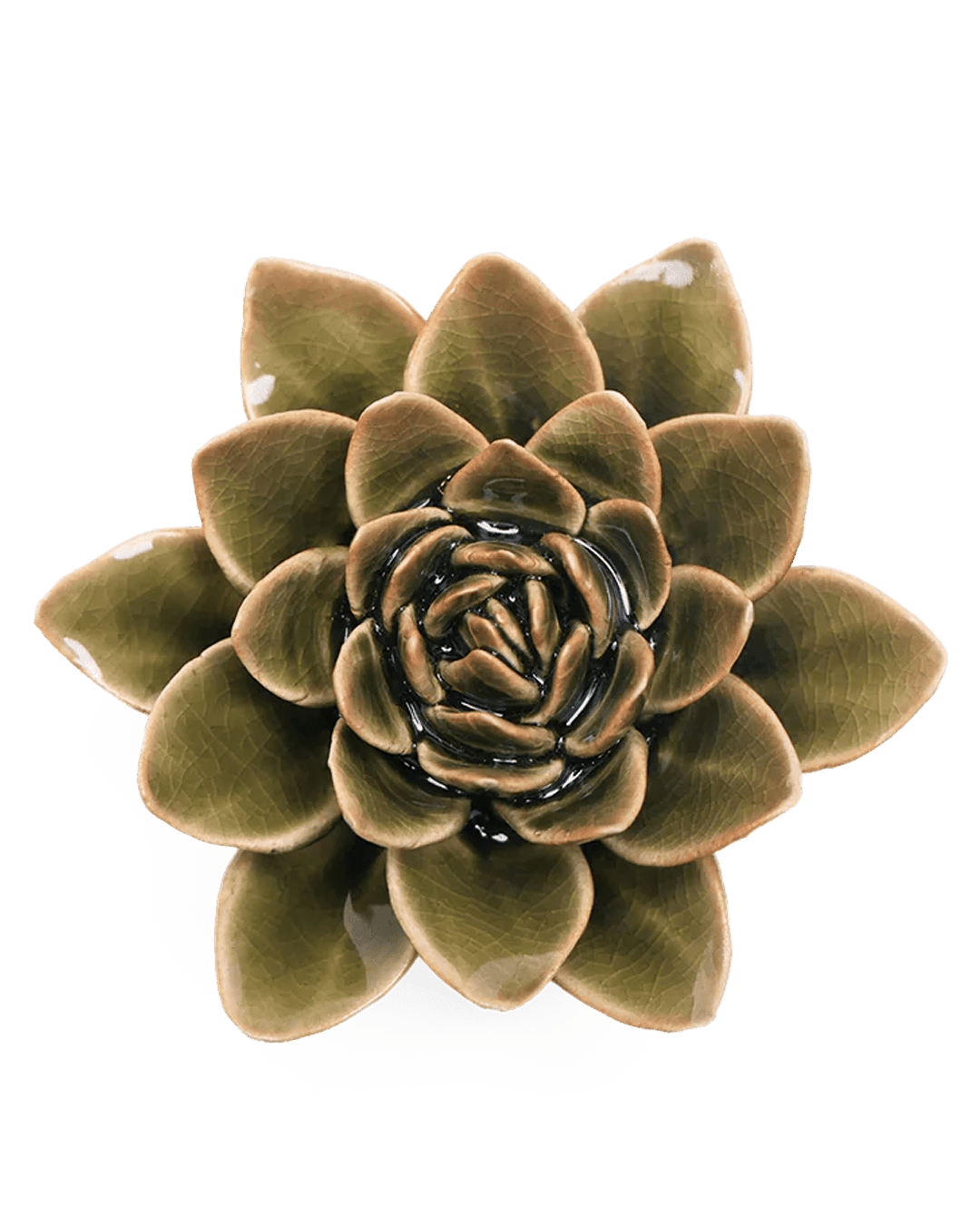 English Garden Ceramic Flower Dark Green Echiveria - Chive UK