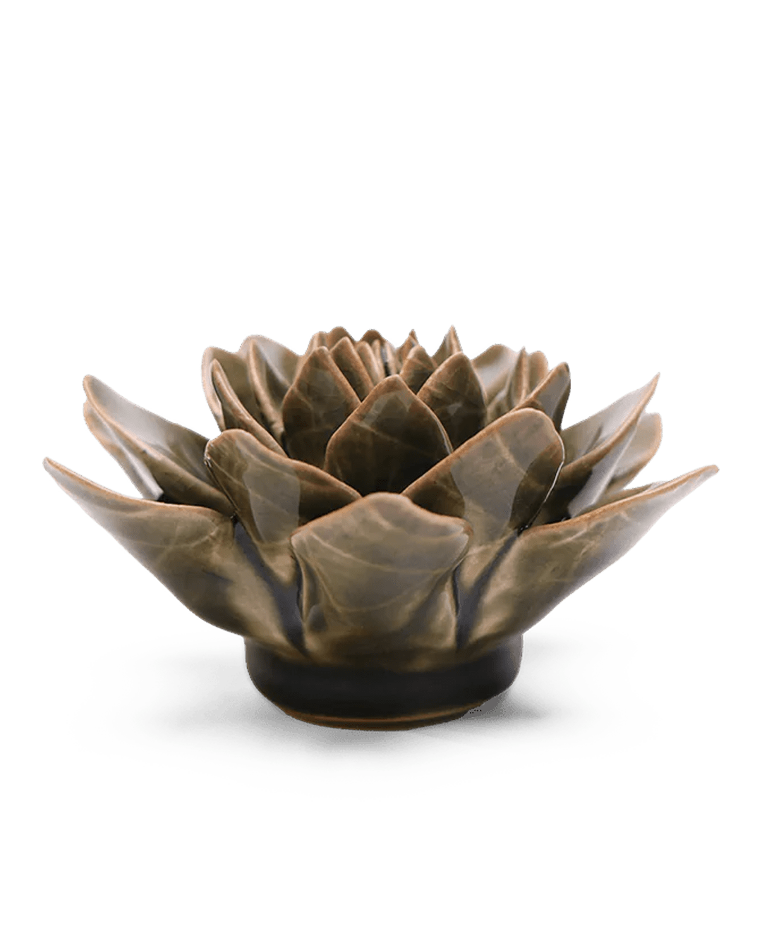 English Garden Ceramic Flower Dark Green Echiveria - Chive UK